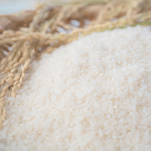 ゆうだい21 おいしさの証明 大粒で雄大