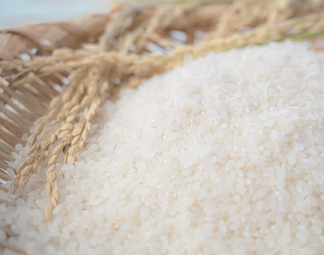 ゆうだい21 おいしさの証明 大粒で雄大