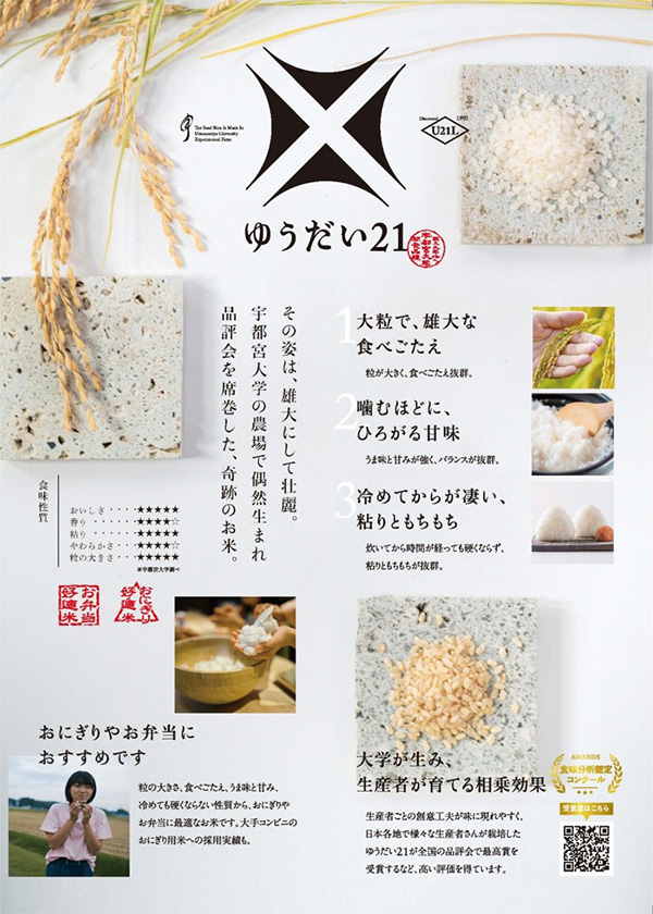 ゆうだい21リーフレット