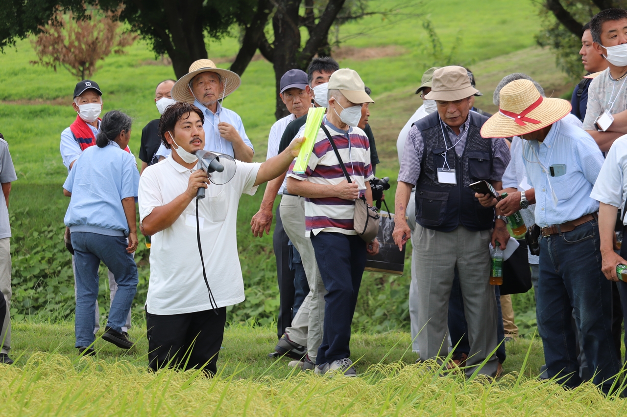ゆうだい21の食味と糖質消化性