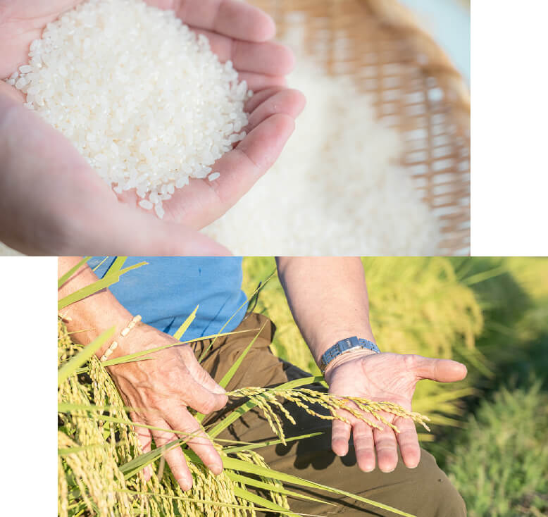 ゆうだい21 大学×生産者