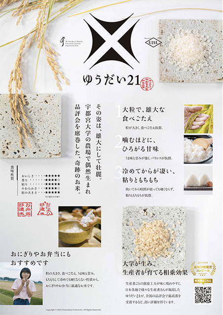 ゆうだい21販促用リーフレット 中面